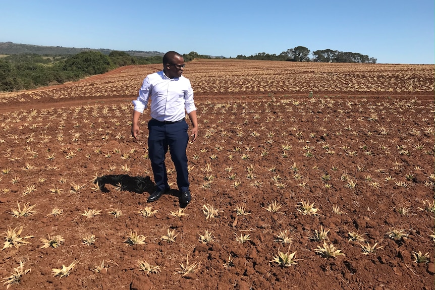 A man with short dark hair, wearing business attire, stands in a stubbly paddock.