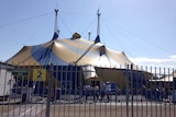 Cirque du Soleil performance in Brisbane