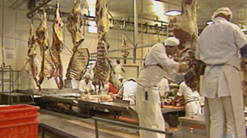 Workers in an abattoir