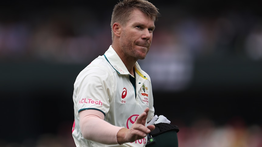 David Warner waves to the crowd and looks disappointed