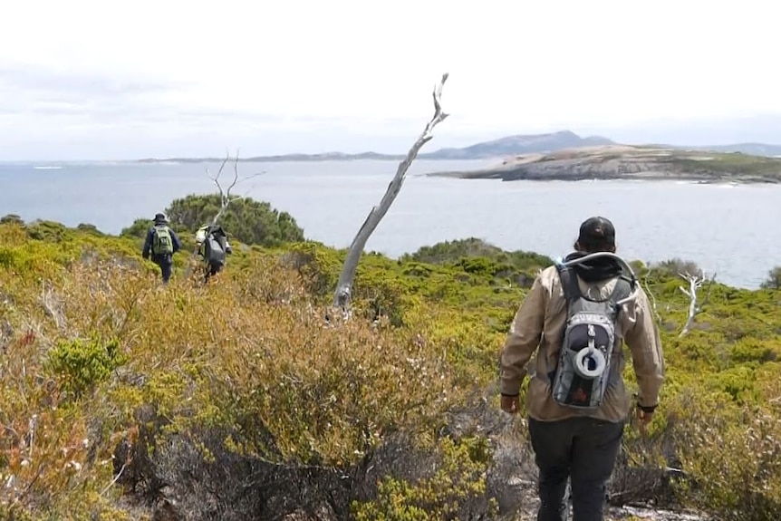 Three rangers with their backs to the camera go across the island, the sea and other islands are visible
