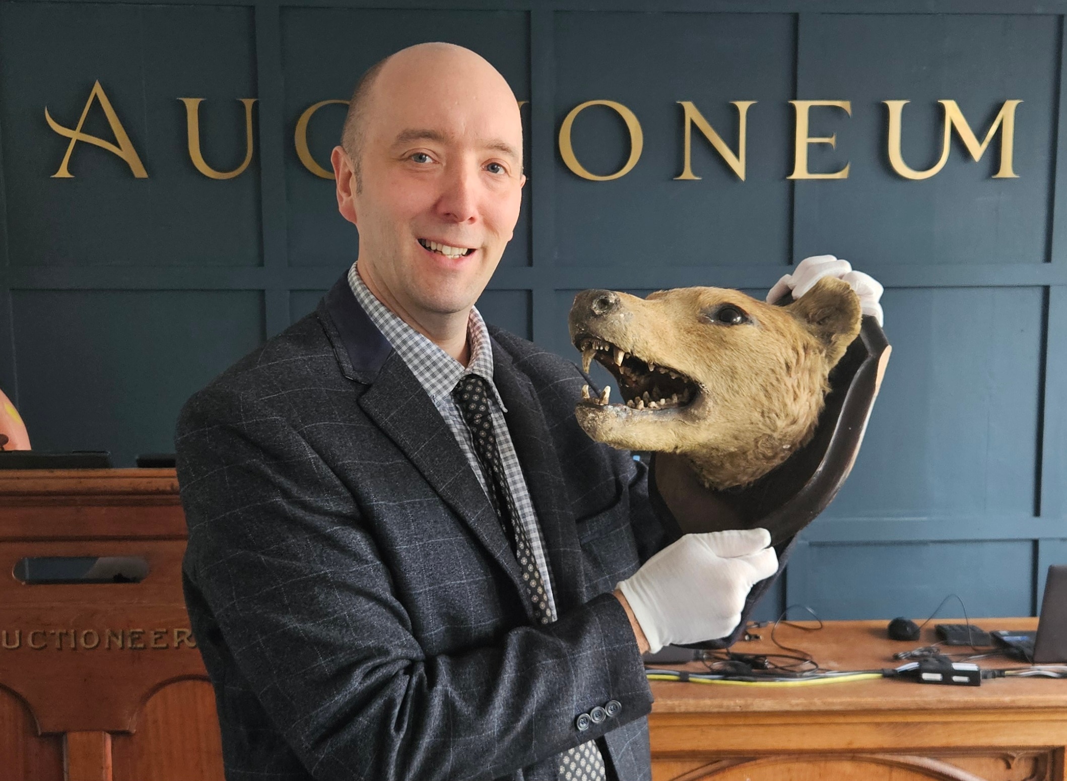 Second thylacine head hits UK auction house after years stashed under bed