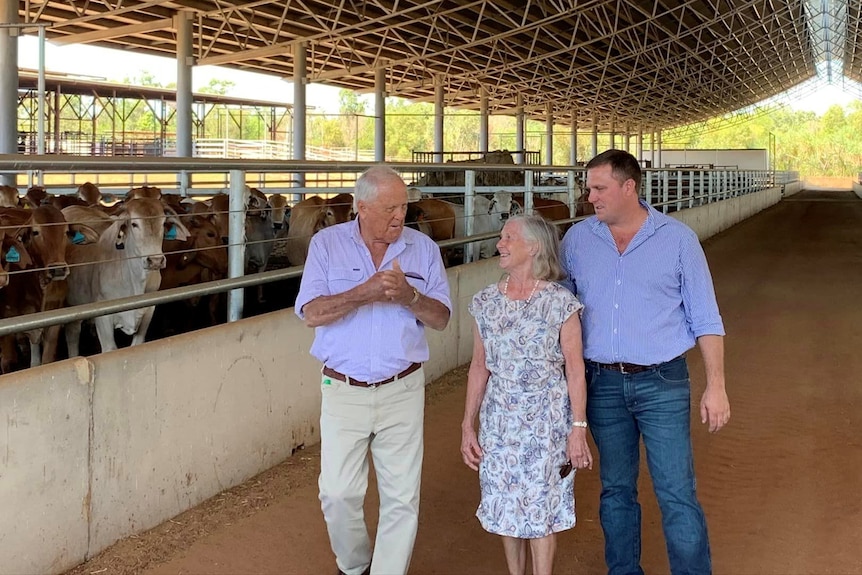 An older man and woman walk through a cattle feedlot with a younger, dark-haired man.