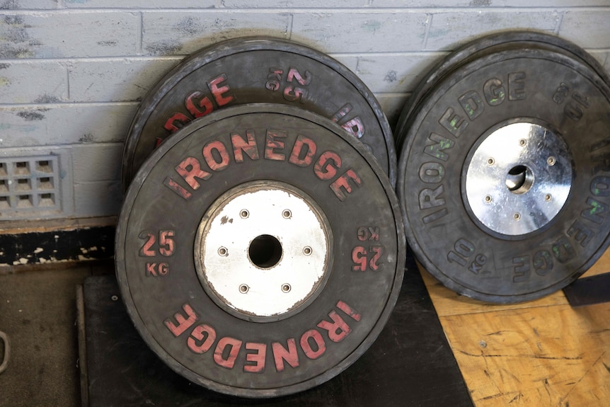 A close up picture of 25kg weights