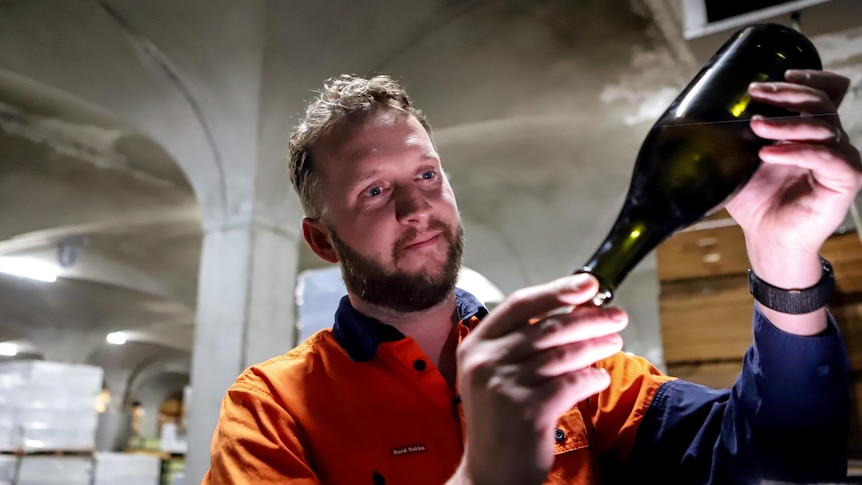Man with light hair and beard smiles looking at illuminated wine bottle standing in downstairs cellar