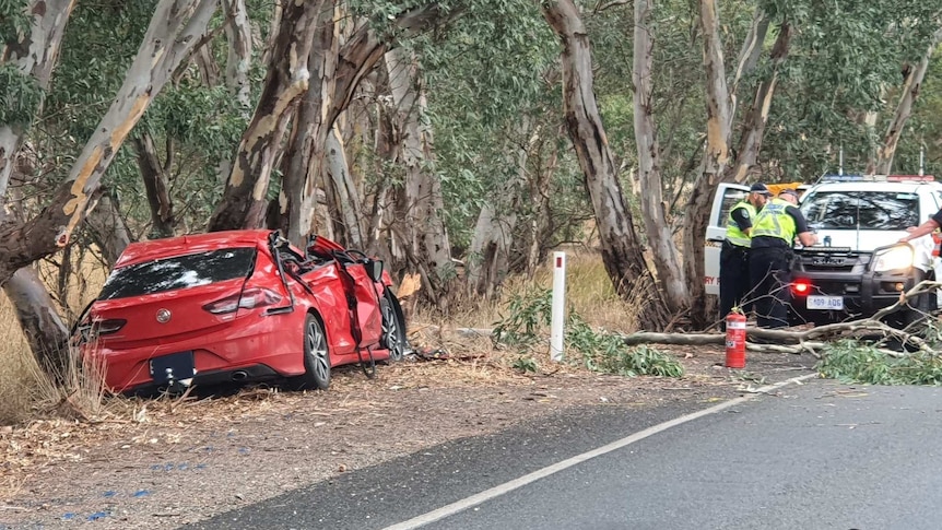 A red car smashed up with trees around and a police ute