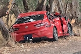 A red car smashed up with trees around and a police ute