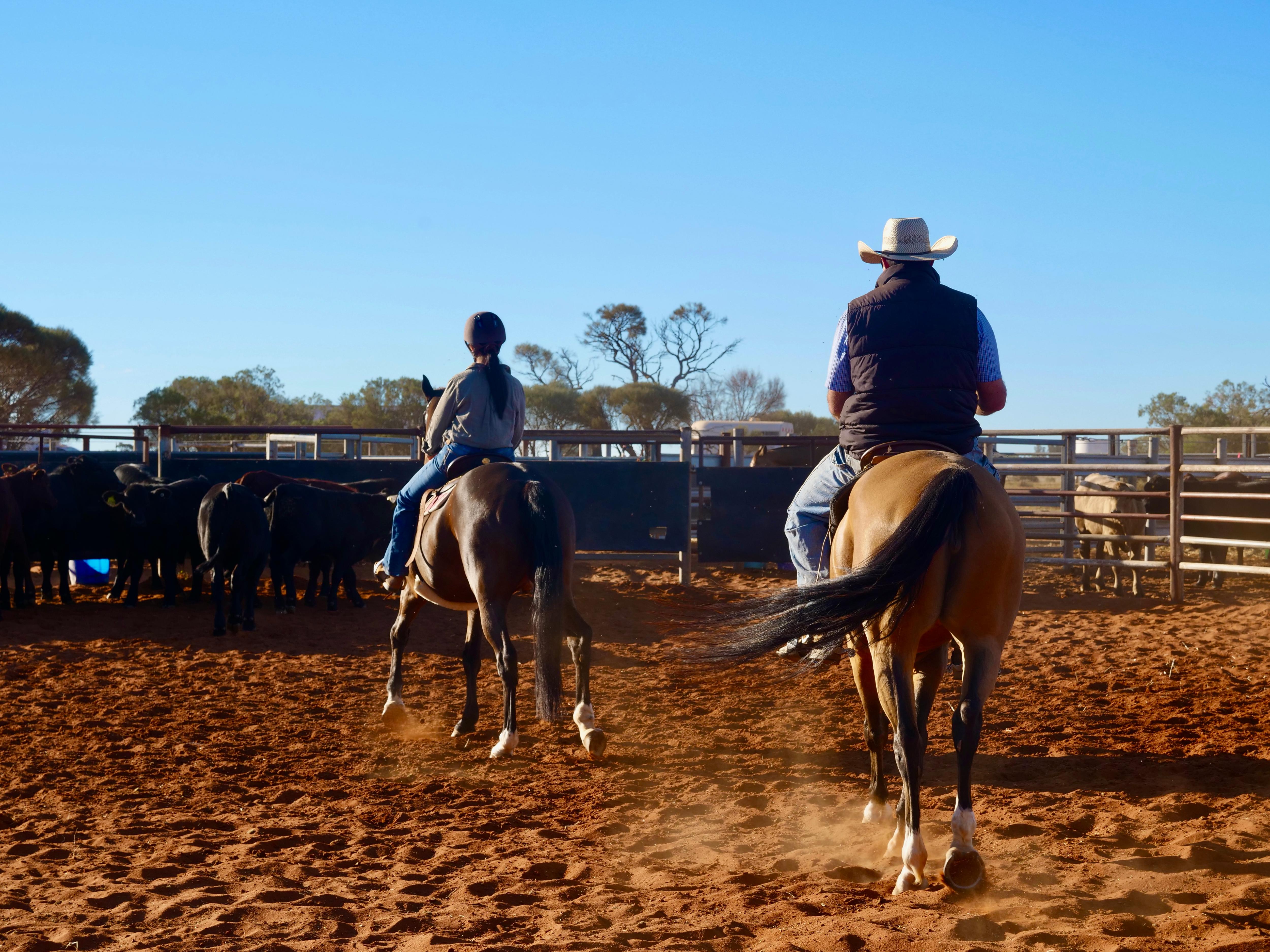 two horses with two horse riders in hats in a yard with red dirt