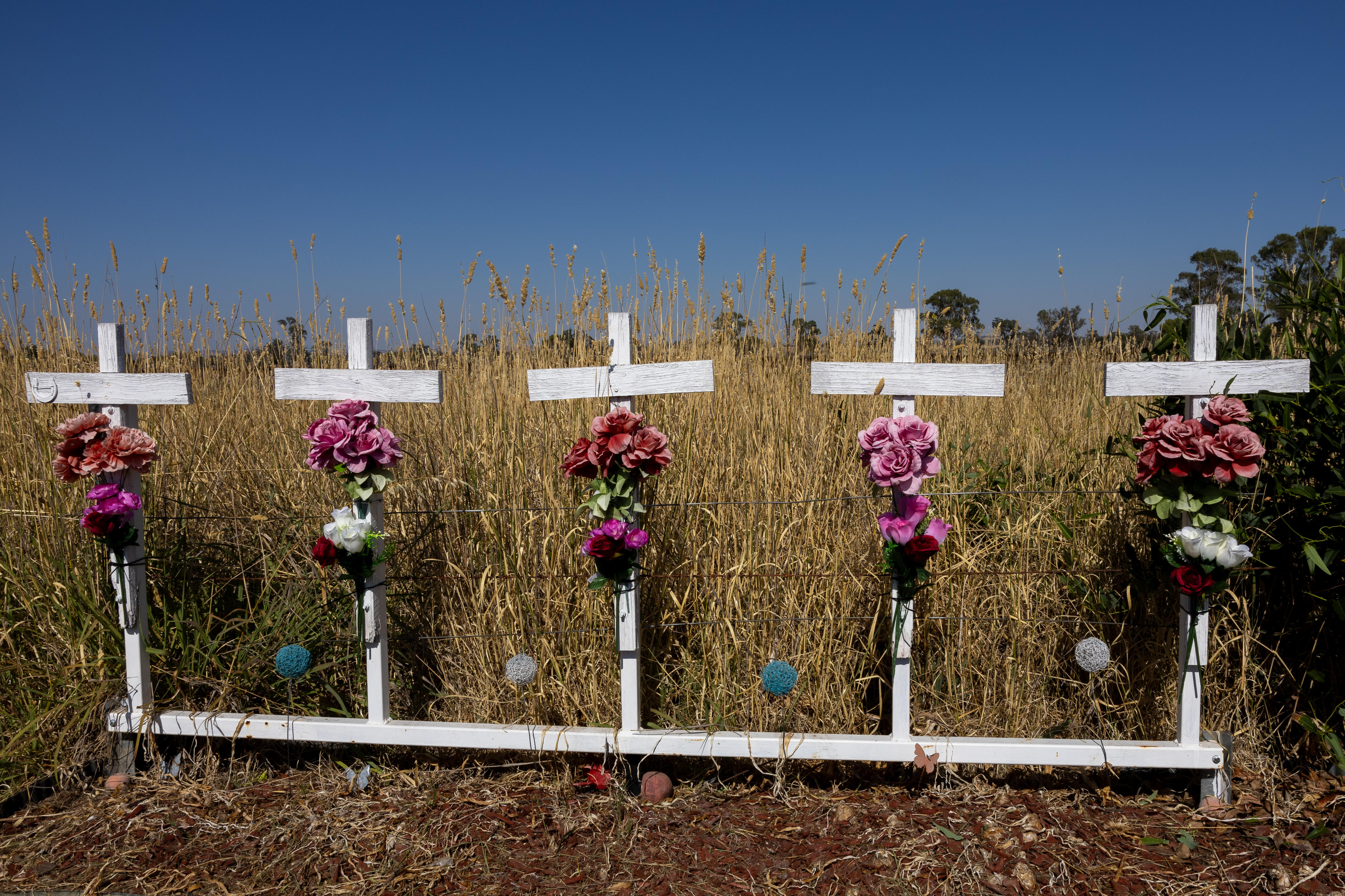 7a72feef4436847e3756dfab60beca85?impolicy=wcms_crop_resize&cropH=3333&cropW=5000&xPos=0&yPos=0&width=862&height=575