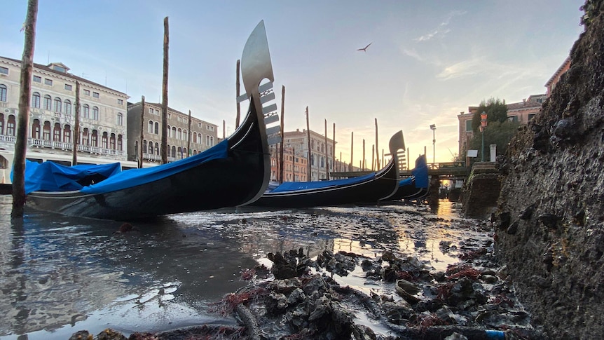 Gondolas are stranded in Venice, northern Italy, during exceptionally low tide.