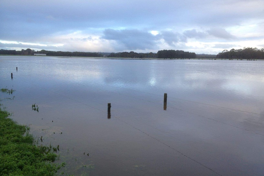 A flooded river with fence posts sticking out.