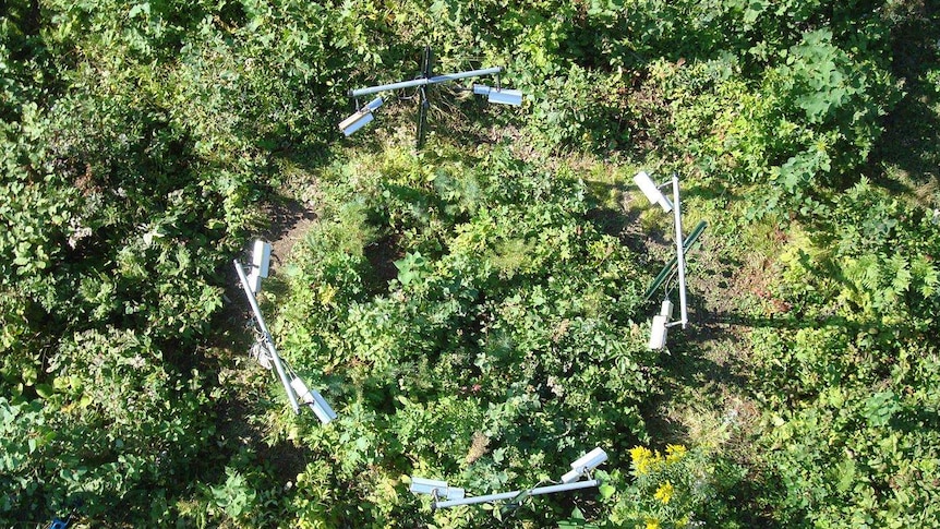 An aerial shot of a field experiment aimed at measuring plant respiration