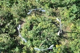 An aerial shot of a field experiment aimed at measuring plant respiration