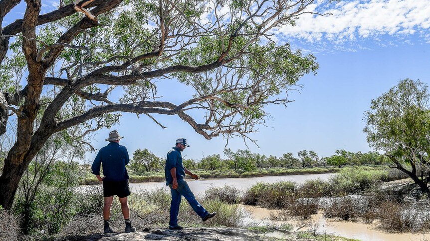 Left Chris Oldfield and his brother Craig Oldfield stand under a Coolabah tree on the banks of the Warburton Creek.