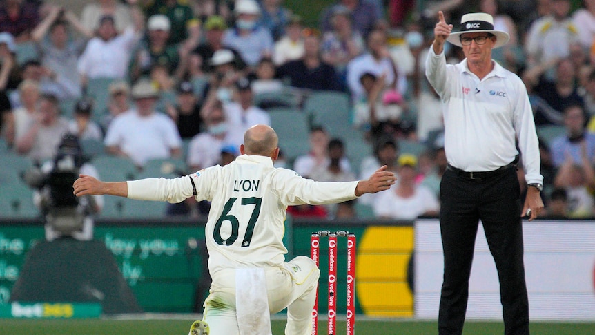 Nathan Lyon kneels, facing umpire Rod Tucker, who is raising his finger of his right hand