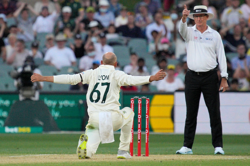 Nathan Lyon kneels, facing umpire Rod Tucker, who is raising his finger of his right hand