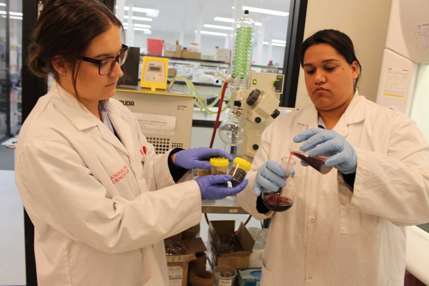 CSU medical researchers Kiara Thompson and Esther Callcott investigating the health benefits of coloured rice