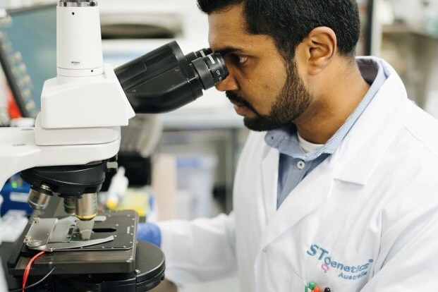 A scientist in a lab looks through a microscope