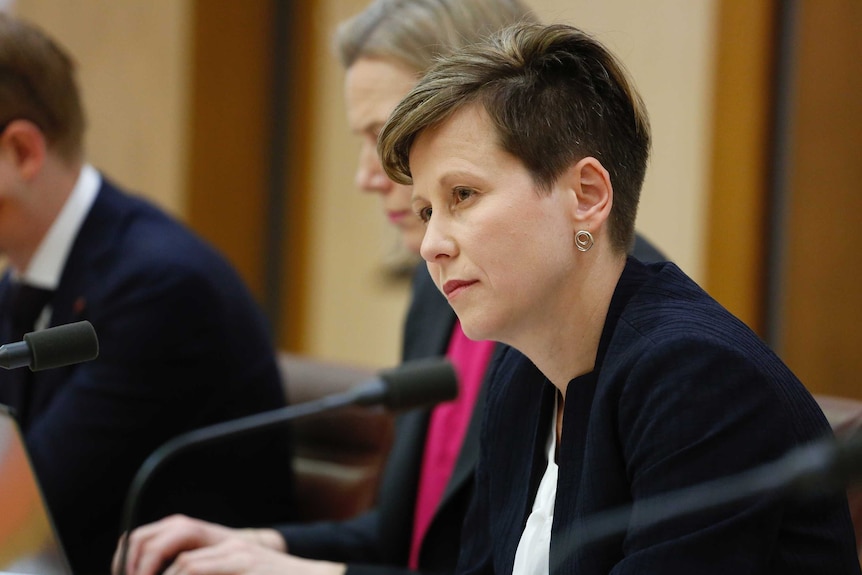 Labor senator Jenny McAllister in a Senate committee