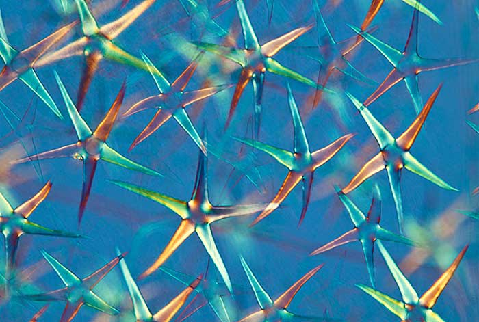 12 winning science visualisations take you from the sea to the stars ...