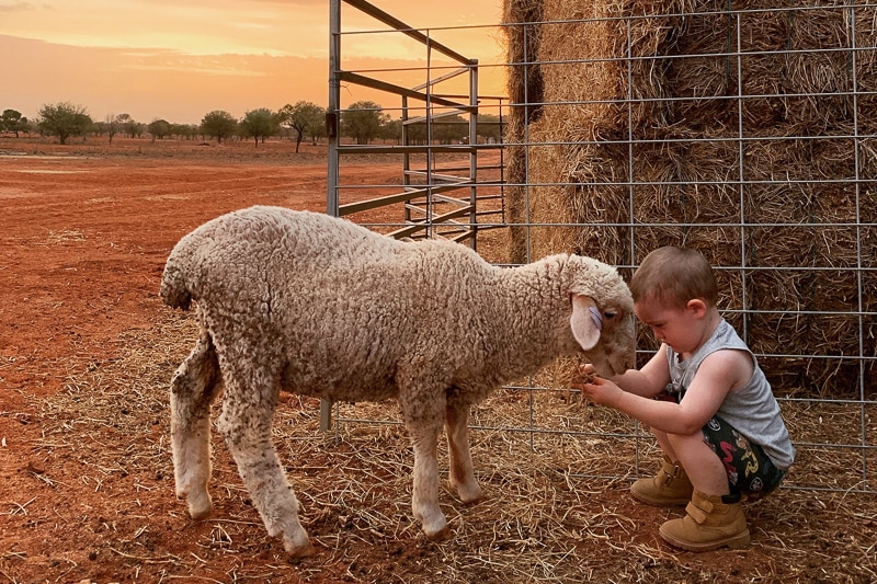 Elizabeth Veenstra's image of a small child with a poddy lamb.