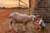 Elizabeth Veenstra's image of a small child with a poddy lamb.