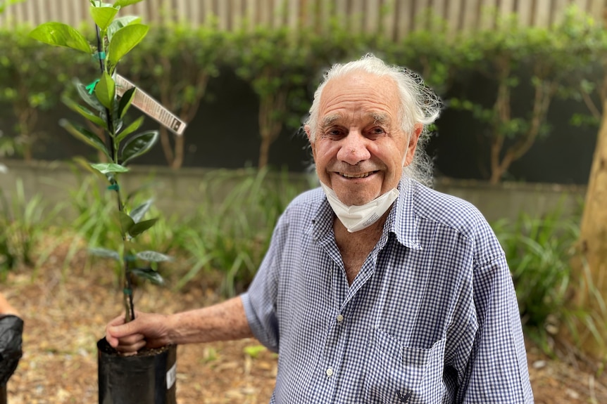 An elderly man sits next to a potted fruit tree, outdoors, smiling.