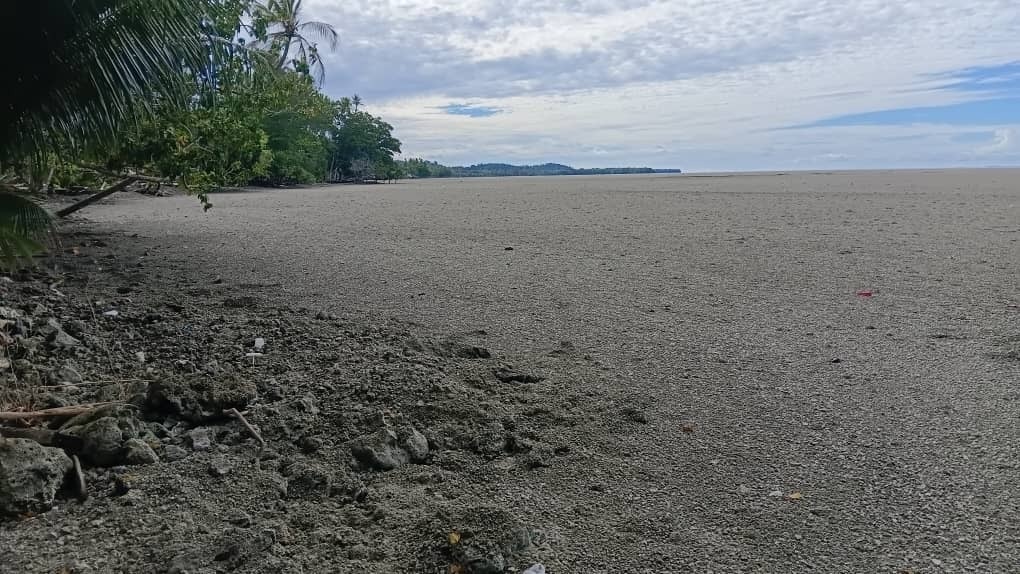 Brown rocks obscure the ocean which laps at a shoreline lined with green trees