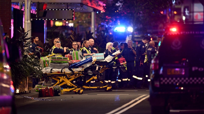 Paramedics stand with stretches near vehicles on a road.