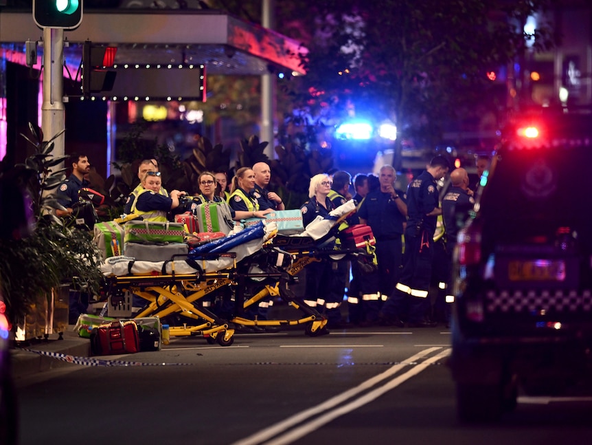 Paramedics stand with stretches near vehicles on a road.