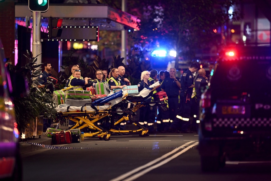 Paramedics stand with stretches near vehicles on a road.