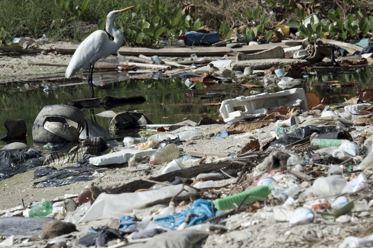 Picture taken at the heavily polluted Guanabara Bay