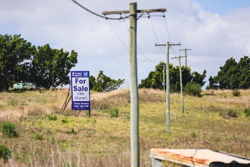 A for sale sign next to a row of electricity poles