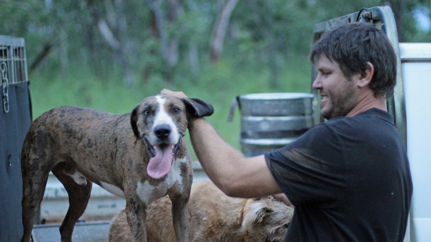 a man patting two dogs on the back of a trailer