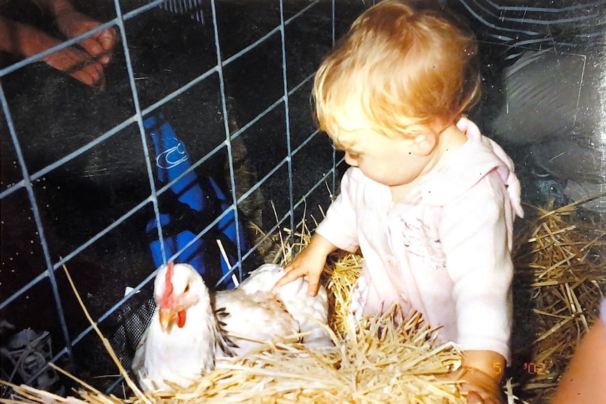 A blonde baby is seen near a chicken sitting in hay inside a cage. 