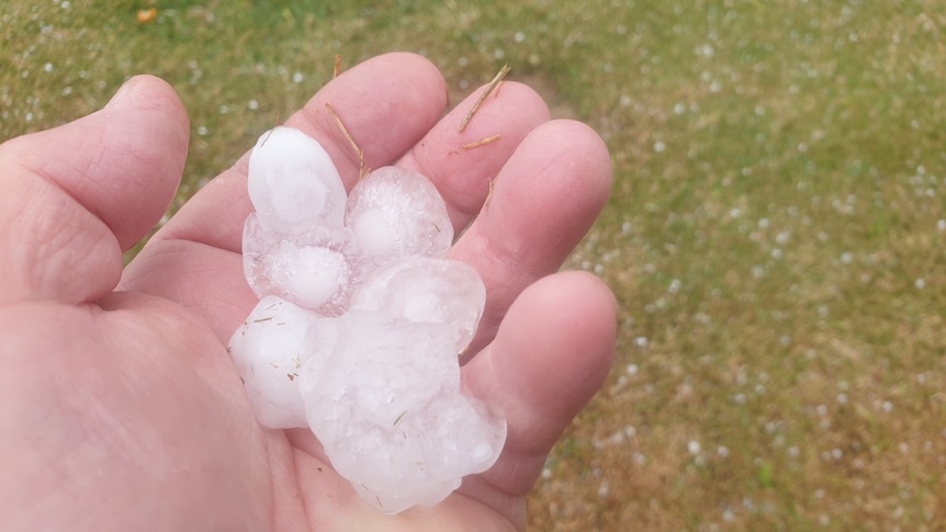A person holds a large piece of hail in their hand.