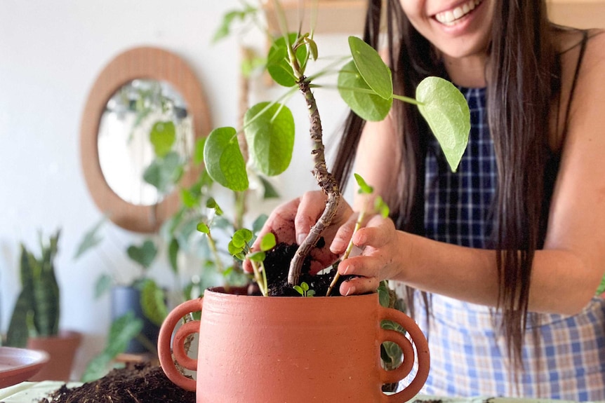 A young woman with long hair stands behind a pot plant adding some soil to the top of the pot. 
