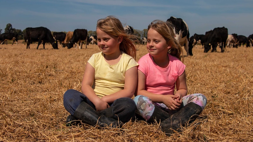 Two girls sit in a paddock of dairy cows.