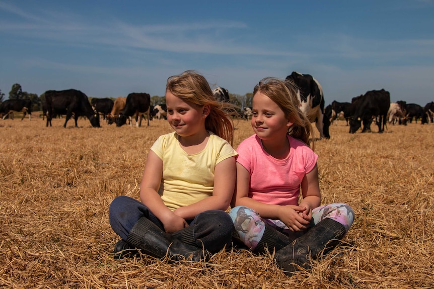 Two girls sit in a paddock of dairy cows.