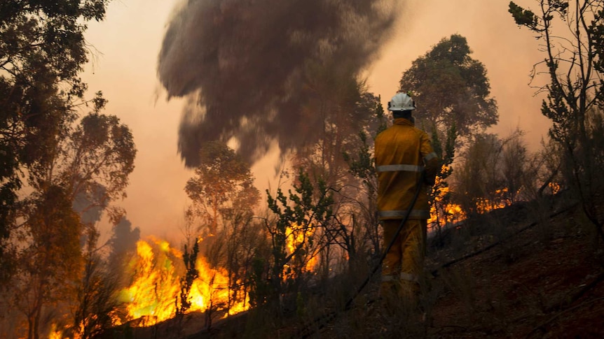 Water bomber douses fire at Avon Valley