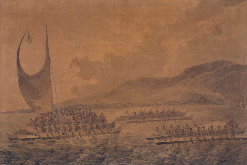 This 1784 watercolour by John Webber shows the Hawaiins bringing gifts to Captain Cook.
