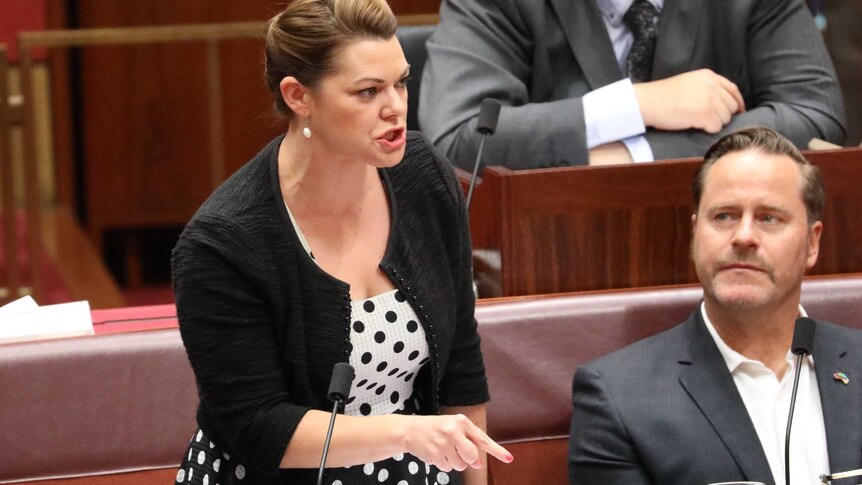 Sarah Hanson-Young looks angry, with her teeth bared and finger pointed at the desk.
