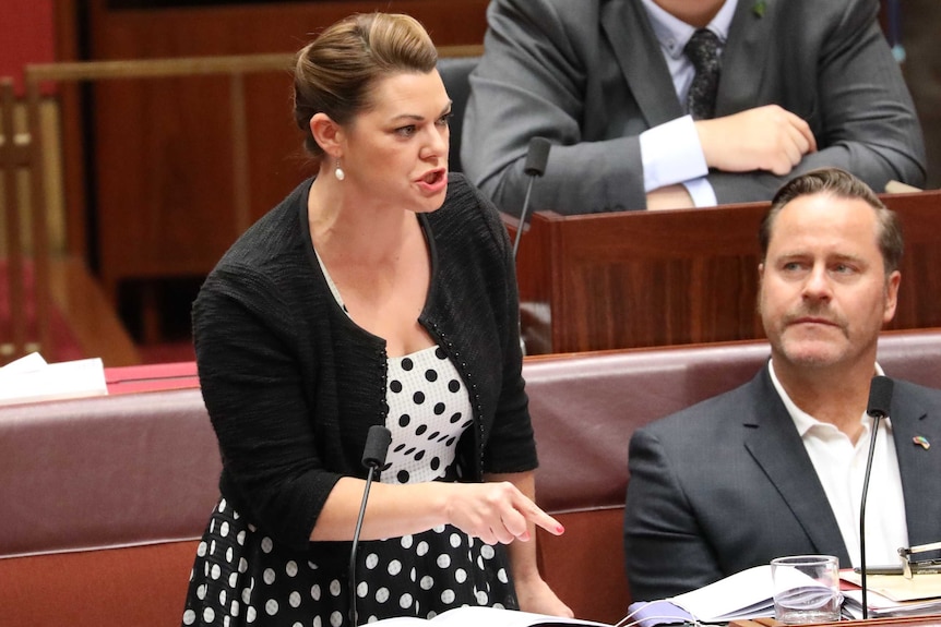 Sarah Hanson-Young looks angry, with her teeth bared and finger pointed at the desk.