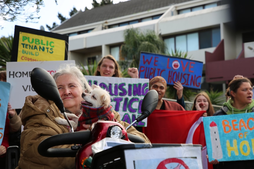 Elderly woman in wheelchair with pet dog, protesters behind her