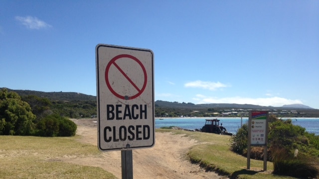 Shark attack closes popular fishing beach