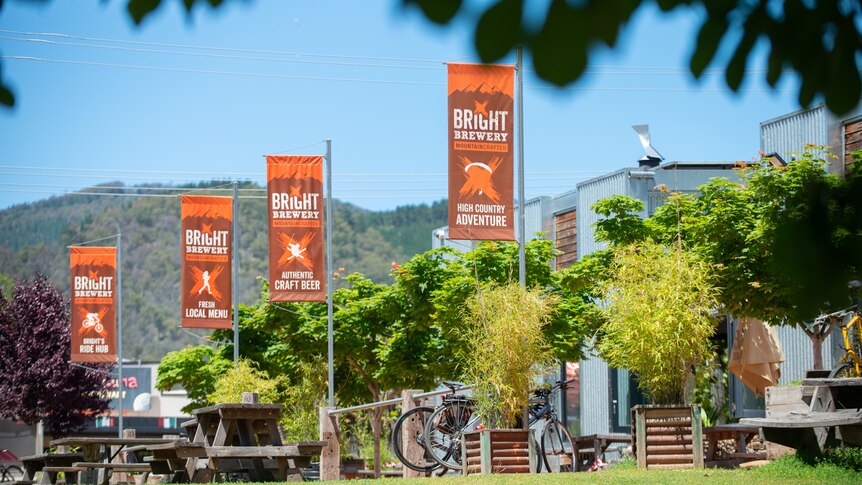 Green grass and trees outside a building with orange flags saying "Bright Brewery".