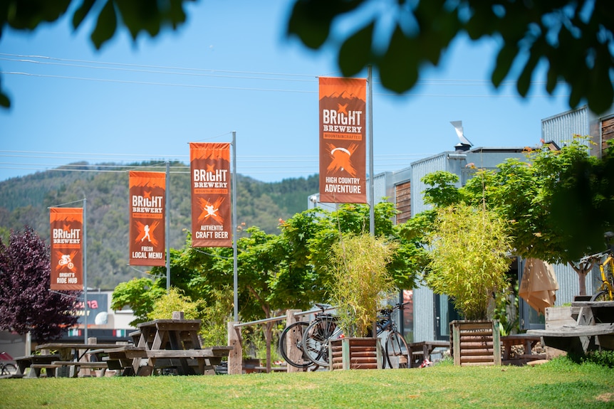 Green grass and trees outside a building with orange flags saying Bright Brewery