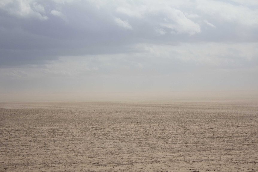 A dust cloud blows in over one of the fields affected by the fire west of Grass Patch.