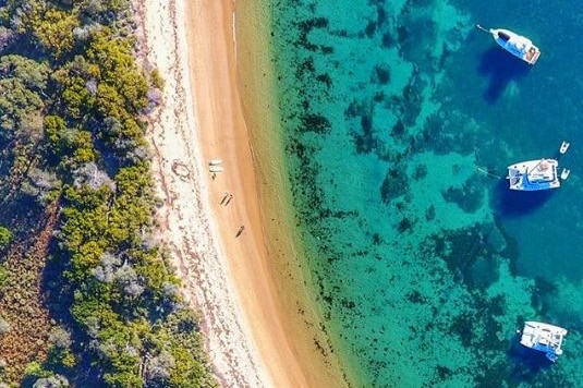 An aerial shot shows Jibbon Beach of a beach. Figures with surfboards are just visible on the sand, and three boats in the water