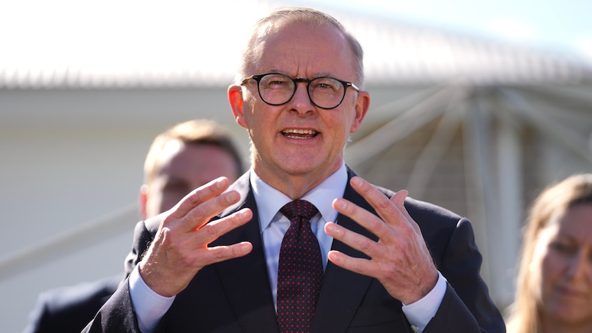 Mr Albanese gestures with both hands raised while speaking from someone's backyard a clothesline barely visible behind him.